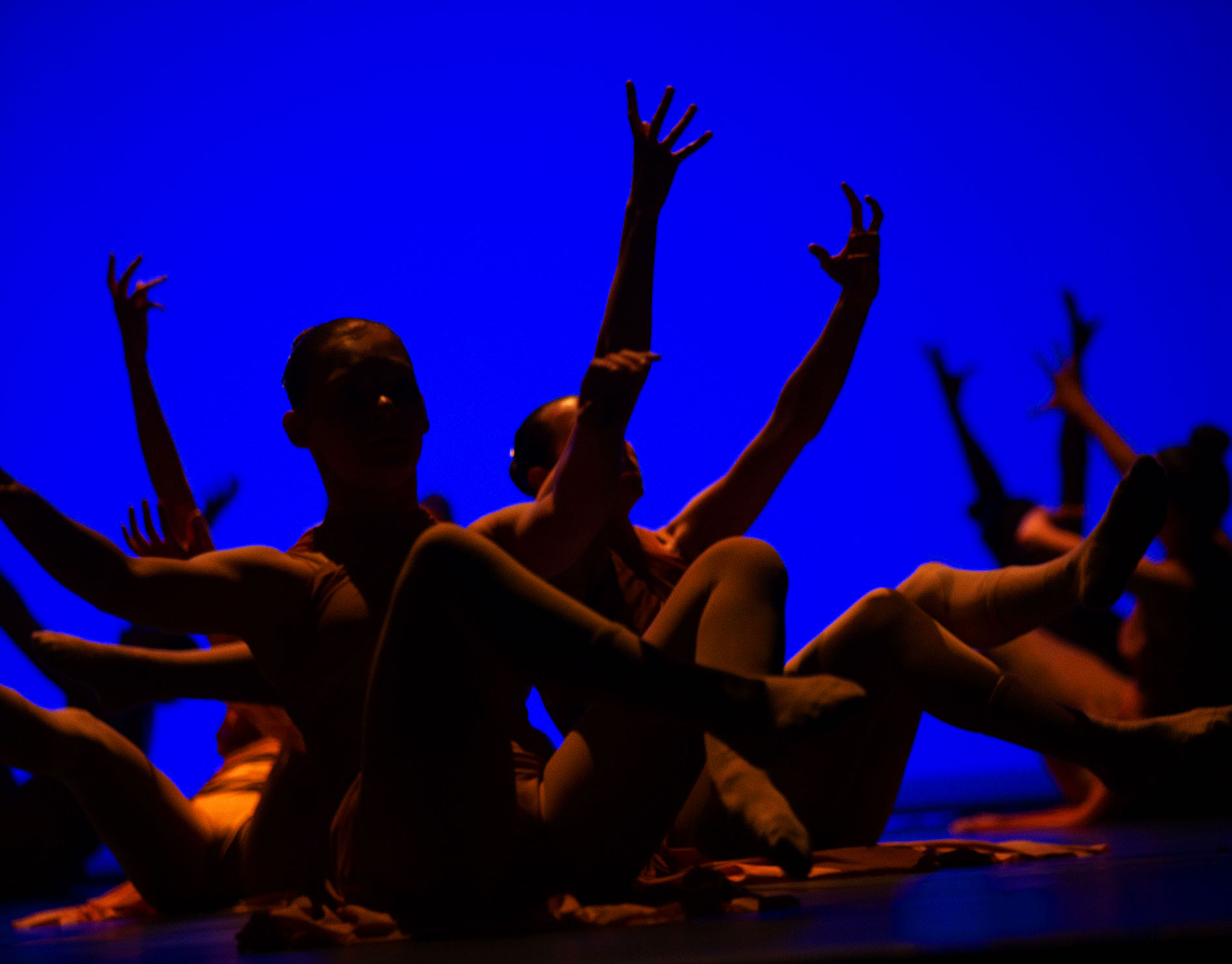 Lissy-G-Dance-Dance-Company-Emotion-Germany-L'enfer-Stromae-Contemporary-Performance-ElisabethGoeppner-web.jpg